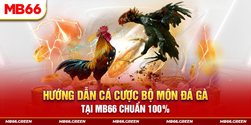 sv88 kết quả xổ số miền bắc ngày hôm nay