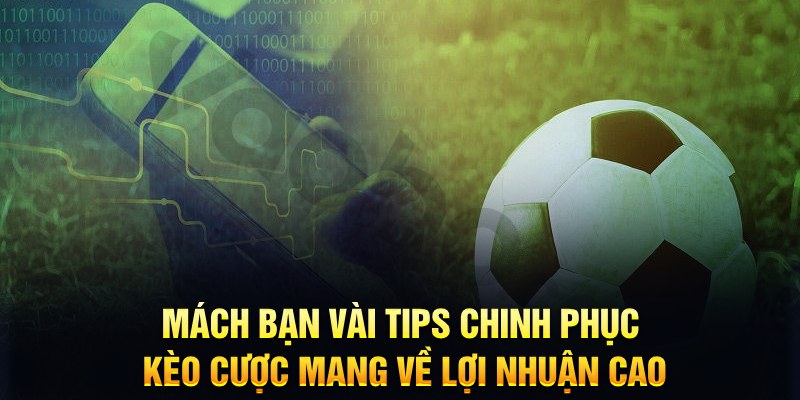 sv88 đăng nhập phỏm hàng đầu