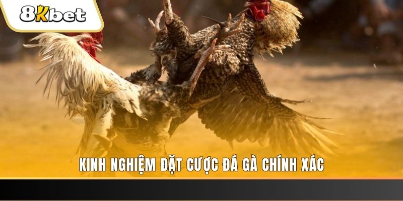 sv88 xổ số thứ bảy hàng tuần