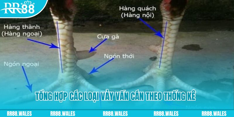 sv88 HB Điện Tử