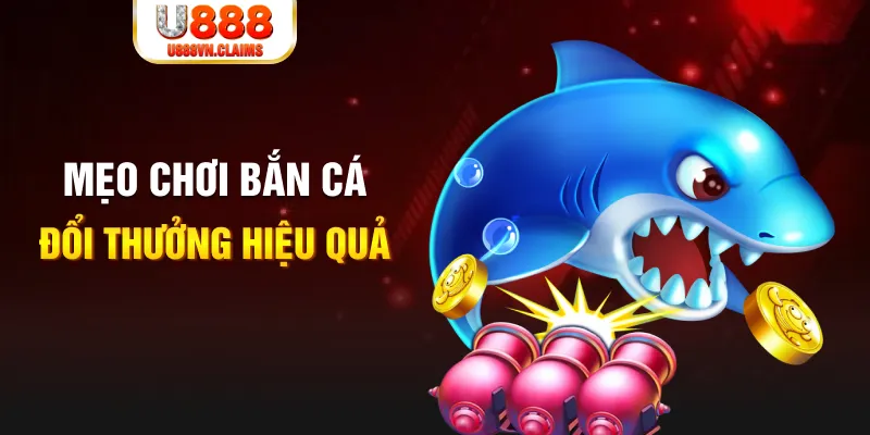 sv88 gà chọi cam ranh