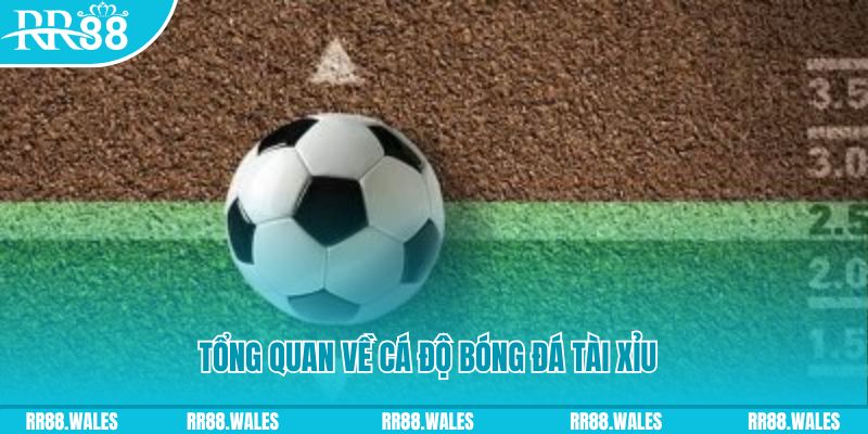 sv88 đăng nhập roulette online