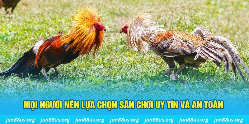 sv88 Cỡ bảy