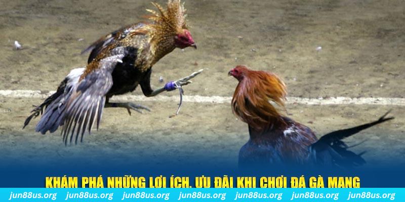 sv88 đăng nhập liêng live