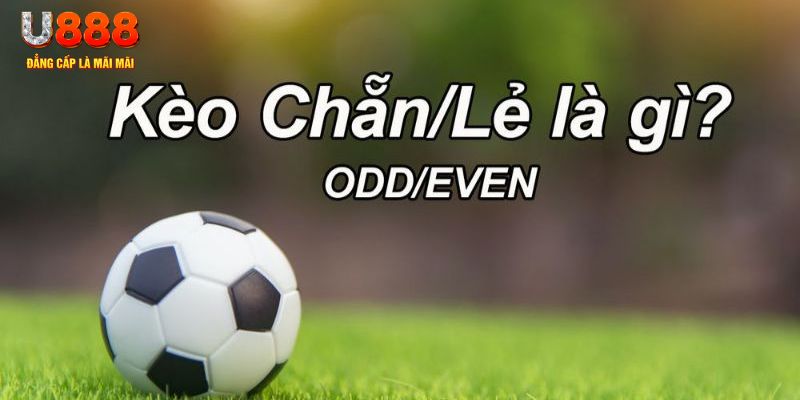 sv88 đăng nhập sòng bạc 2024