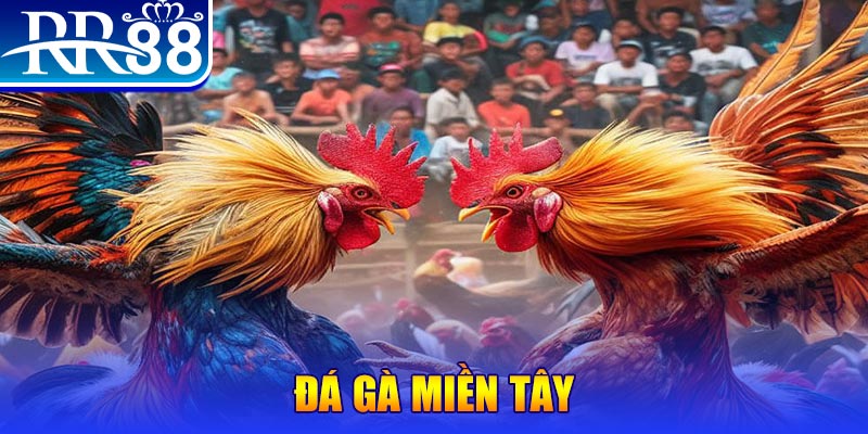 người chia bài trong casino gọi là gì